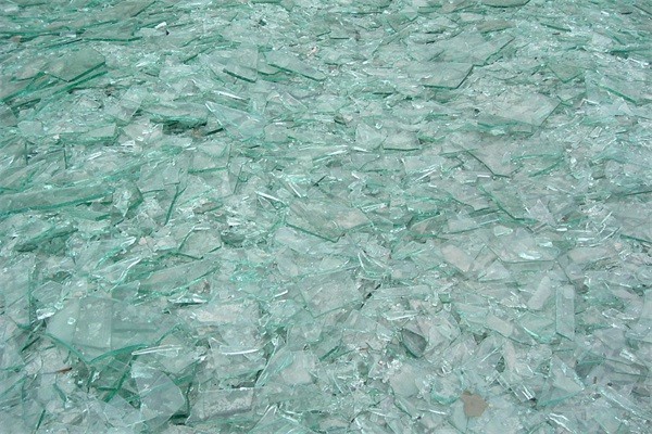 甘肅黄瓜视频官网入口廠家