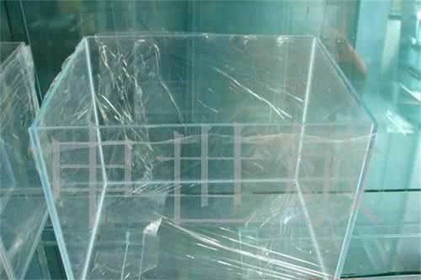 甘肅黄瓜视频官网入口